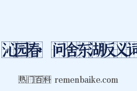 沁园春·问舍东湖反义词是什么意思的图片